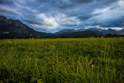 Scenic view of field against sky