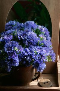 Close-up of purple flowers in pot