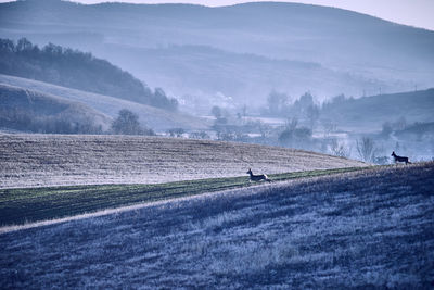 Scenic view of mountains