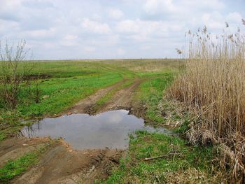 Scenic view of field against sky