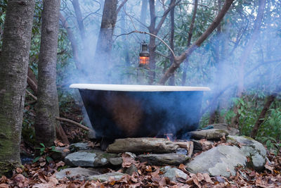 Fire heated bathtub in a forest, north carolina