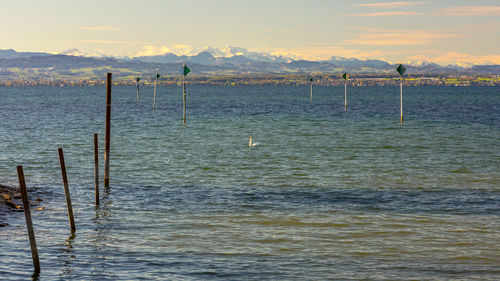 Wooden posts in sea against sky