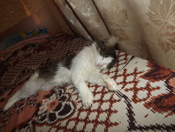 High angle view of cat relaxing on bed at home