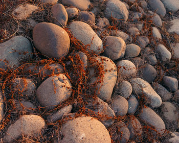 High angle view of stones on beach