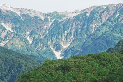 High angle view of trees on mountains