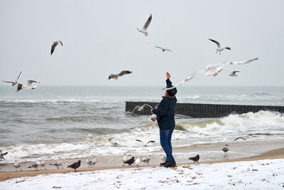 Full length of seagulls flying over beach