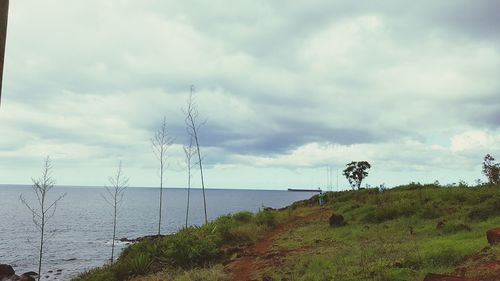 Scenic view of trees against sky