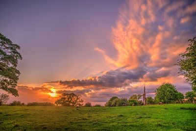 Scenic view of grassy field against sky during sunset