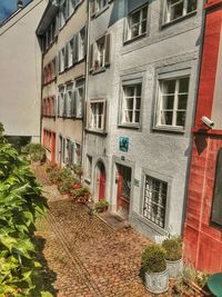 Plants in front of building