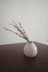 Close-up of plant on table