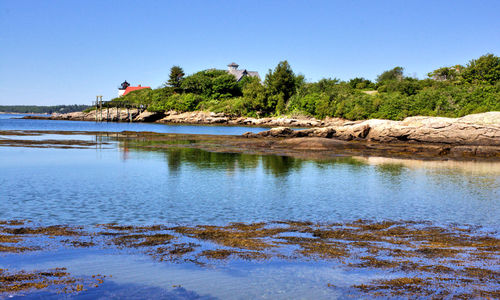 Scenic view of lake against clear blue sky