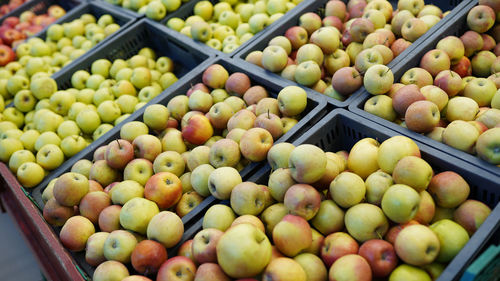 High angle view of fruits in market