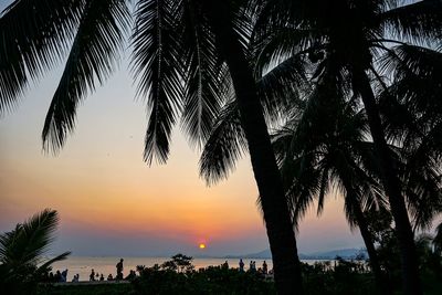 Silhouette palm trees against sky during sunset