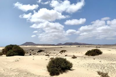 Scenic view of desert against sky