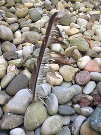 Pebbles on rocks