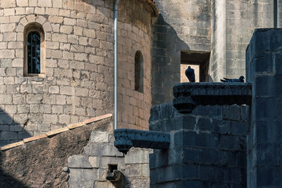 View of old building with bird framed in silhouette 