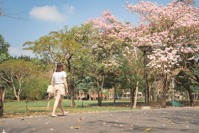 Rear view of woman walking against cherry tree