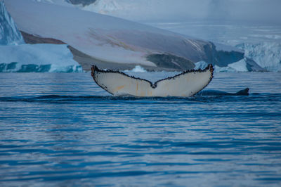 Close-up of boat in sea against sky