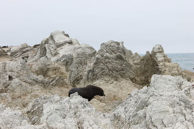 Rock formation in sea against clear sky