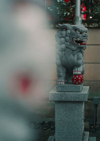 Close-up of statue against blurred background