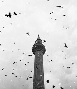 Low angle view of birds flying in sky