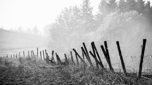 Wooden posts on landscape against sky