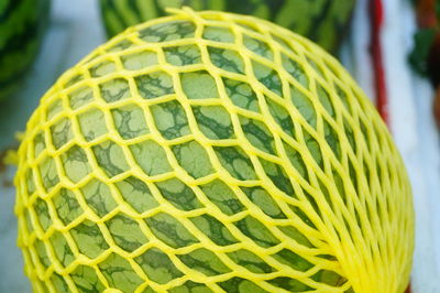 Close-up of green leaf