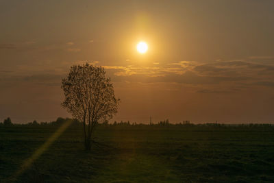 Scenic view of field against sky during sunset