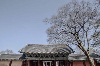 Low angle view of tree and building against sky