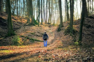 Rear view of man standing by trees in forest