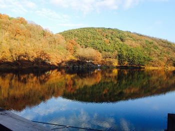 Reflection of trees in calm lake