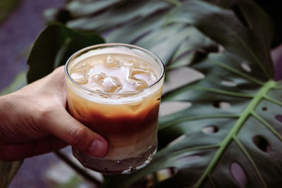 Hand hold iced latte coffee in a tall glass. cold summer drink with green nature background