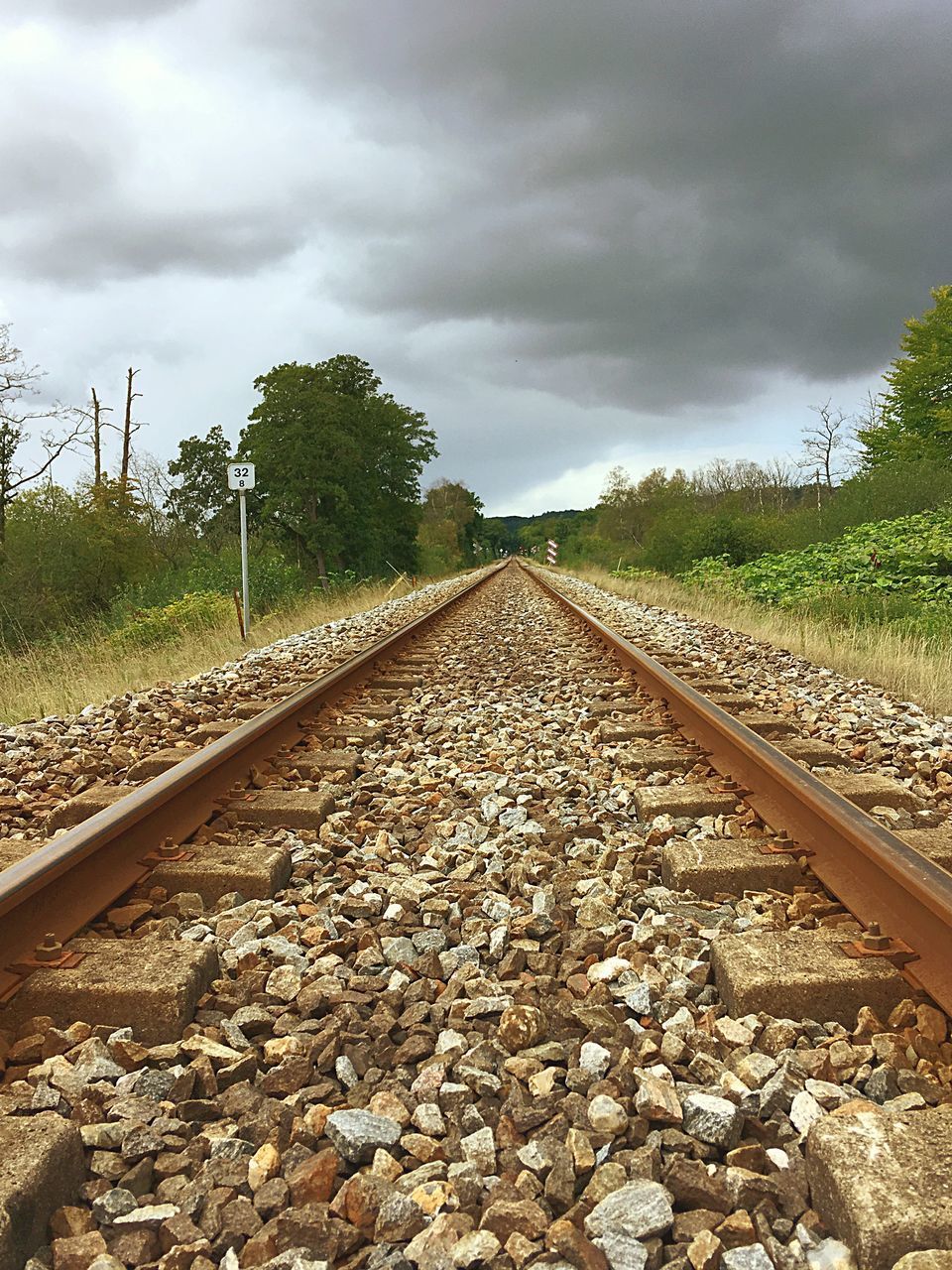 SURFACE LEVEL OF RAILROAD TRACKS AGAINST TREES AND SKY