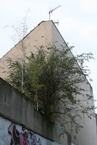 Low angle view of built structure