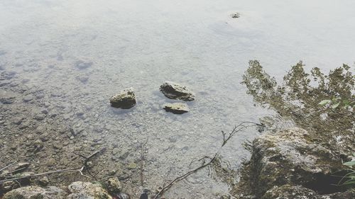 High angle view of footprints on beach