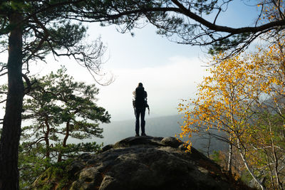 Rear view of man standing on tree