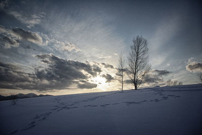 Scenic view of snow covered field against sky