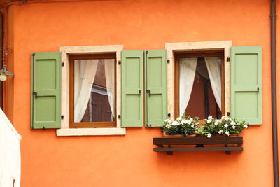 Potted plant on window of building
