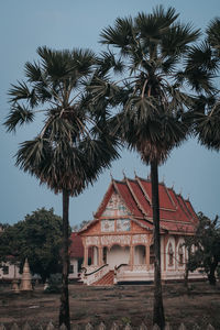 Palm trees and buildings against sky