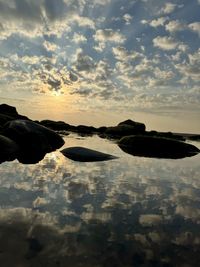 reflection