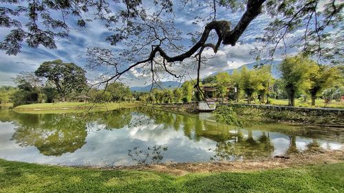 Reflection of trees in lake against sky