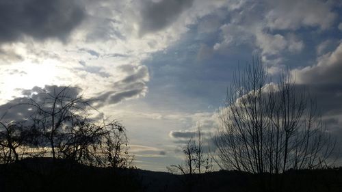 Low angle view of silhouette trees against sky