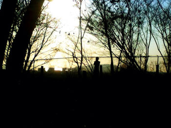 silhouette