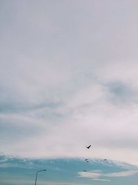 Low angle view of birds flying in sky