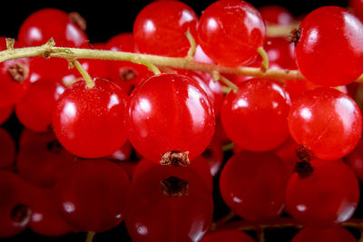 Close-up of red currants on table