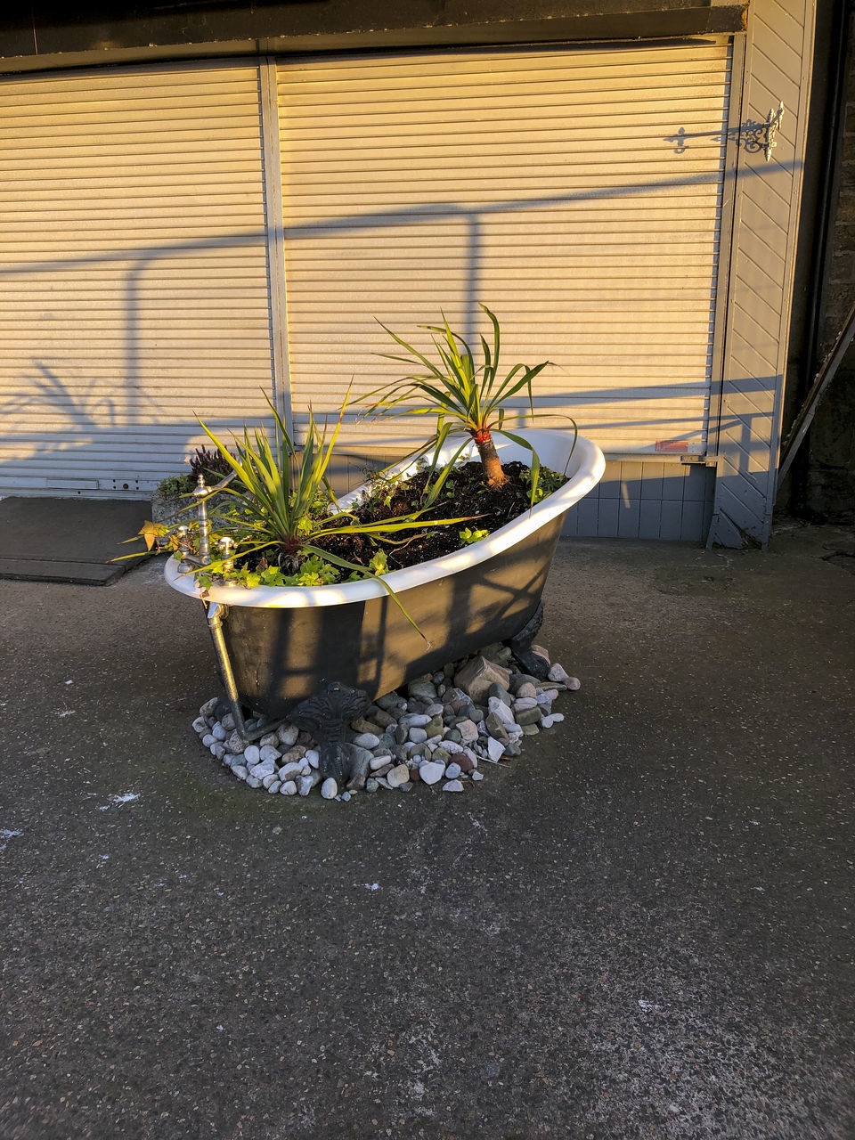 HIGH ANGLE VIEW OF POTTED PLANT ON STREET