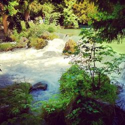 Stream flowing through rocks