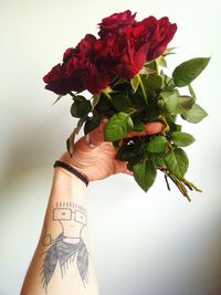 Close-up of hand holding flower over white background