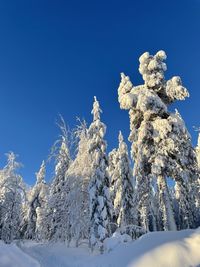 Low angle view of snow covered trees against blue sky