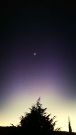 Low angle view of silhouette trees against sky